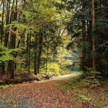 Weinberghaus Prossen Villa Bad Schandau Exteriör bild